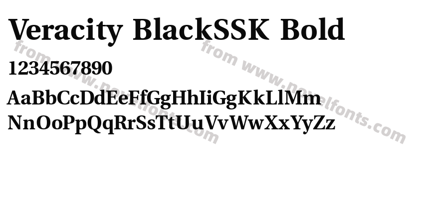 Veracity BlackSSK BoldPreview