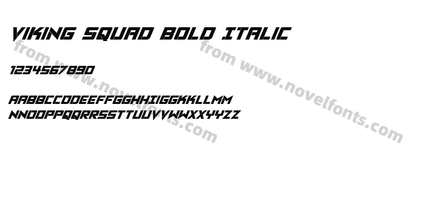 Viking Squad Bold ItalicPreview