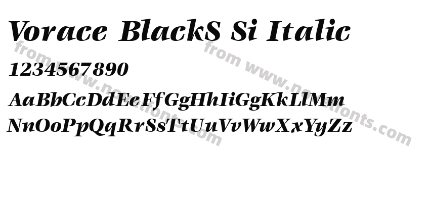 Vorace BlackS Si ItalicPreview