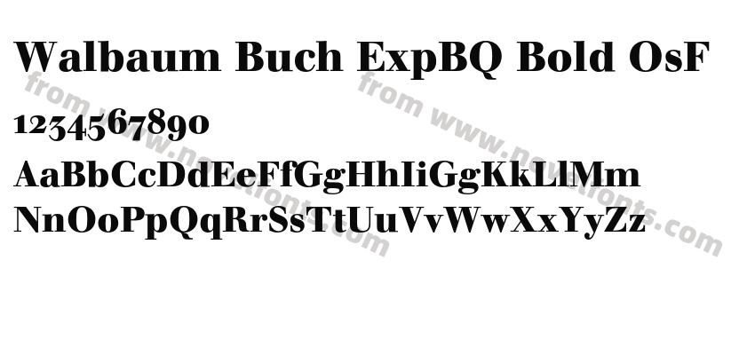 Walbaum Buch ExpBQ Bold OsFPreview