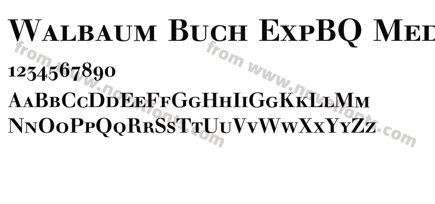 Walbaum Buch ExpBQ MediumPreview