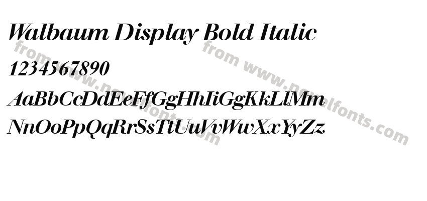 Walbaum Display Bold ItalicPreview