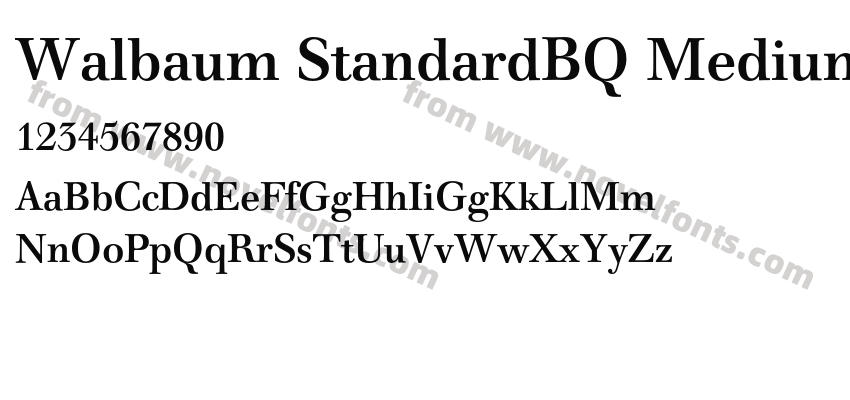 Walbaum StandardBQ MediumPreview