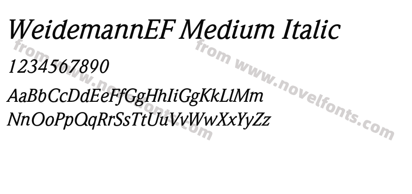 WeidemannEF Medium ItalicPreview