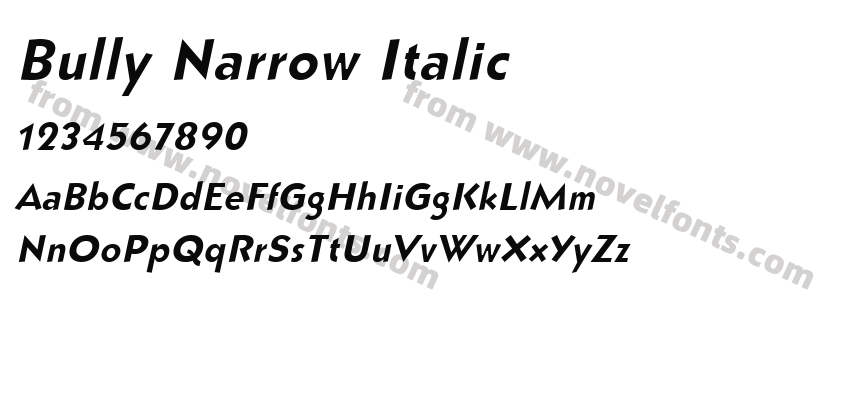 Bully Narrow ItalicPreview