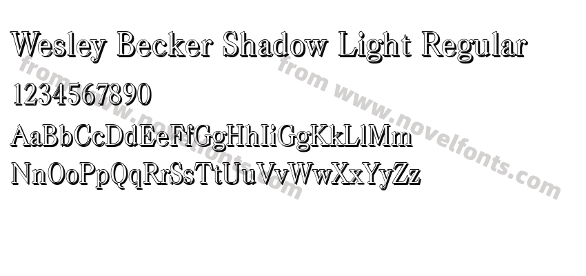 Wesley Becker Shadow Light RegularPreview