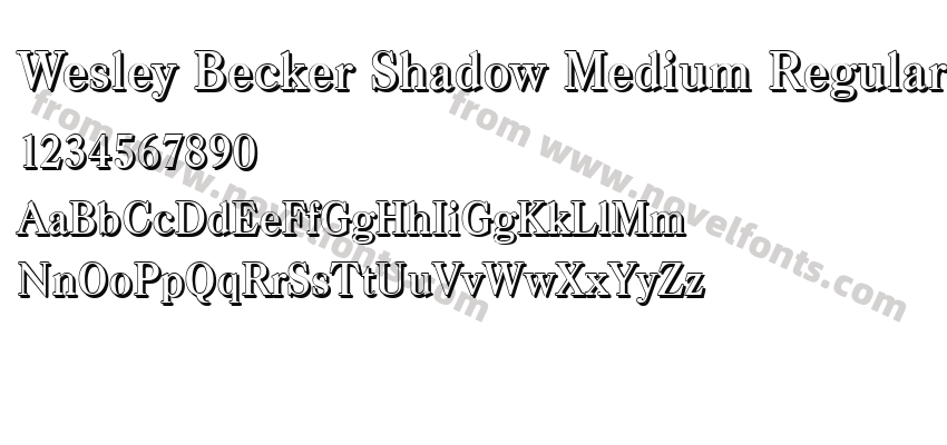 Wesley Becker Shadow Medium RegularPreview