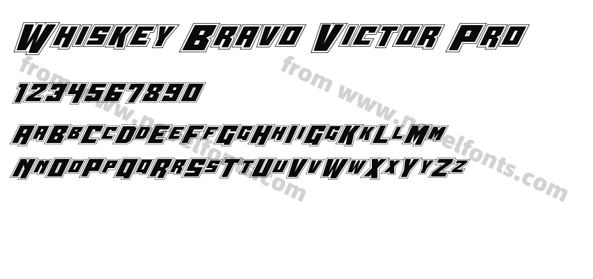 Whiskey Bravo Victor ProPreview