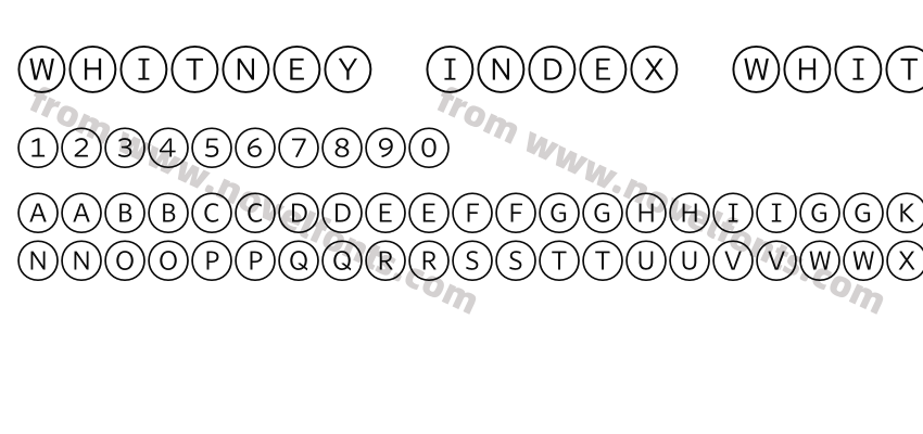 Whitney Index White Round Lt1Preview