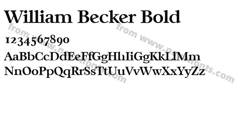 William Becker BoldPreview