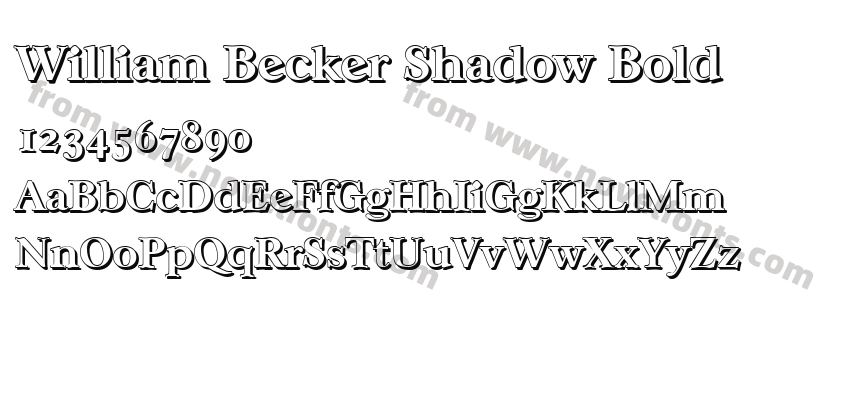 William Becker Shadow BoldPreview