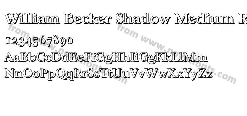 William Becker Shadow Medium RegularPreview