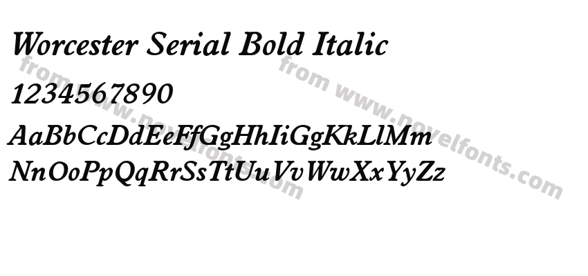 Worcester Serial Bold ItalicPreview