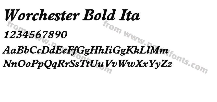 Worchester Bold ItaPreview