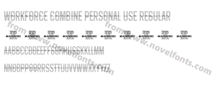 Workforce Combine PERSONAL USE RegularPreview