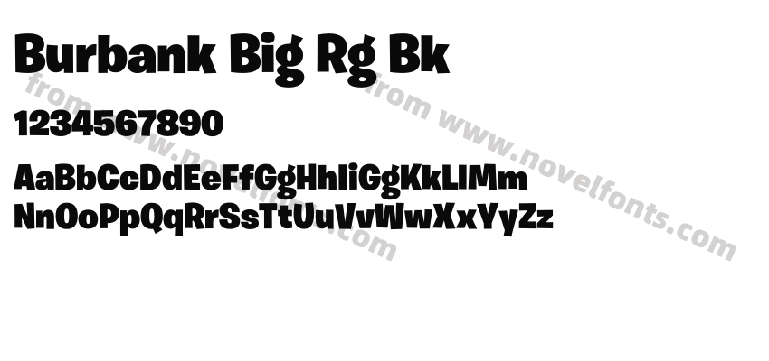 Burbank Big Rg BkPreview