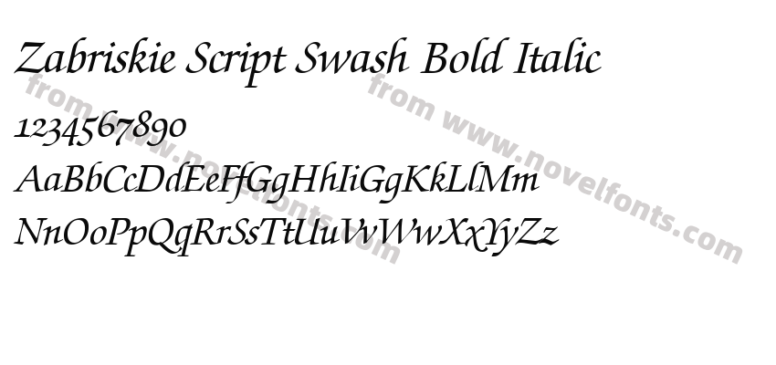 Zabriskie Script Swash Bold ItalicPreview