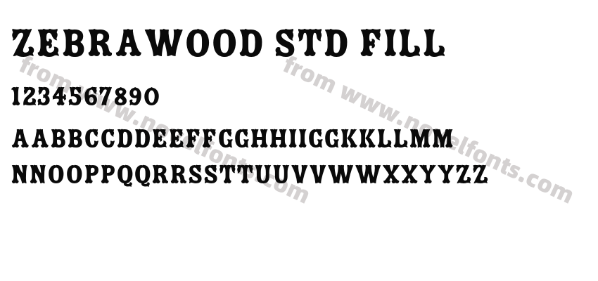 Zebrawood Std FillPreview