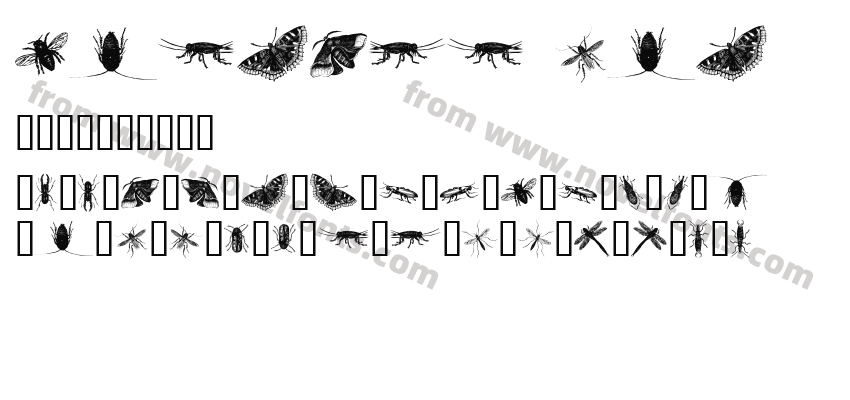 insects onePreview