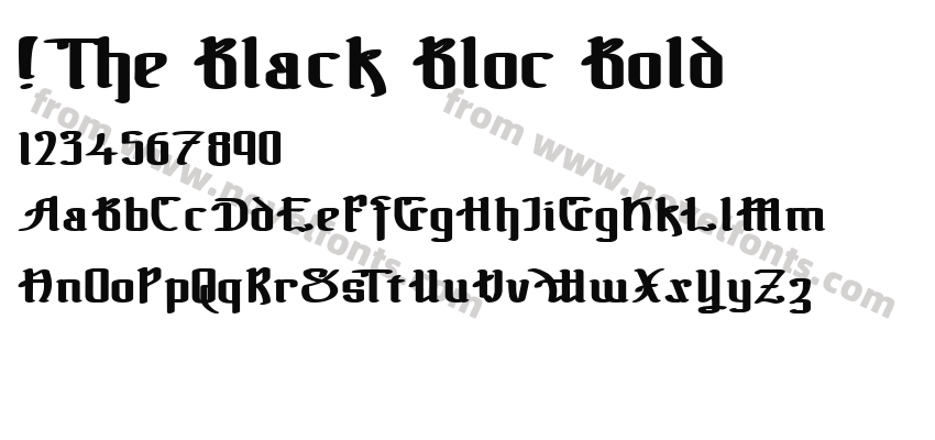 !The Black Bloc BoldPreview