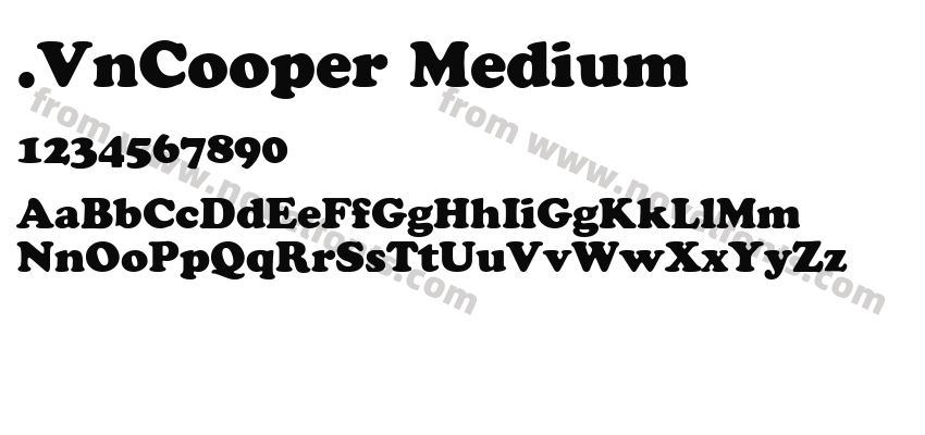 .VnCooper MediumPreview