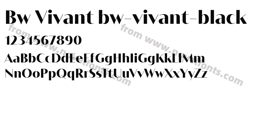 Bw Vivant bw-vivant-blackPreview