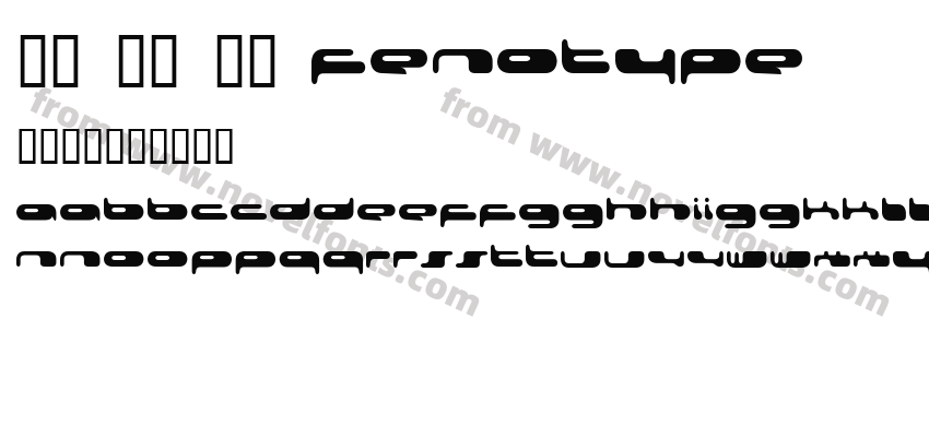 08 02 03 FenotypePreview