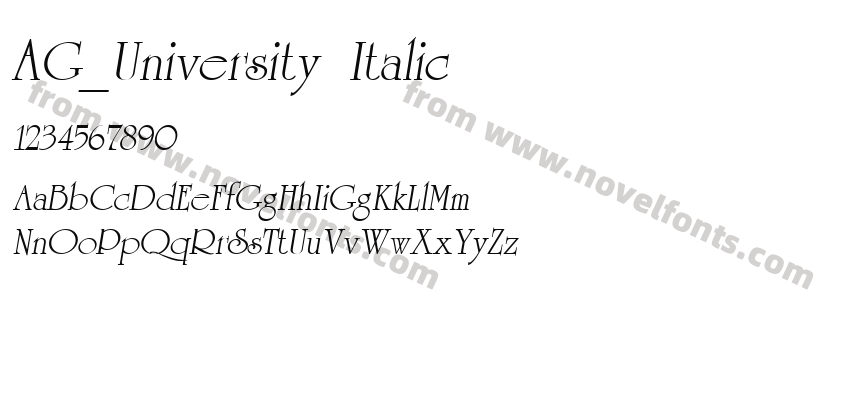 AG_University ItalicPreview