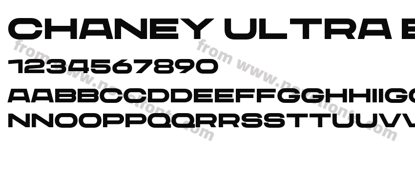 CHANEY Ultra ExtendedPreview