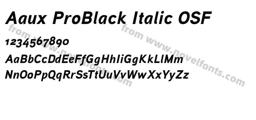 Aaux ProBlack Italic OSFPreview