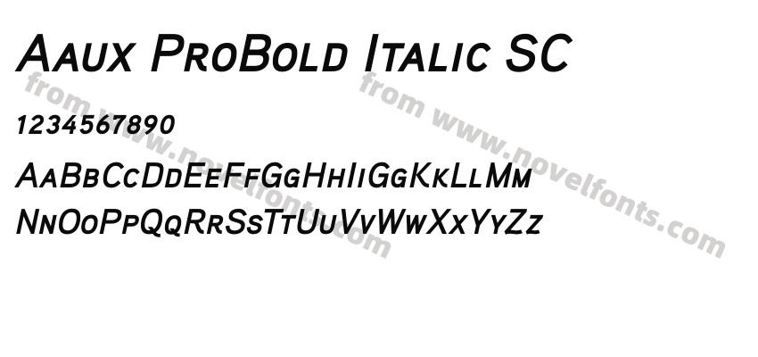 Aaux ProBold Italic SCPreview