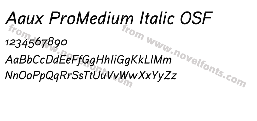 Aaux ProMedium Italic OSFPreview