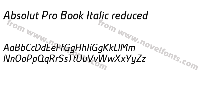 Absolut Pro Book Italic reducedPreview