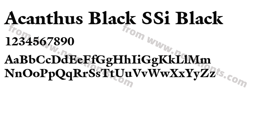 Acanthus Black SSi BlackPreview