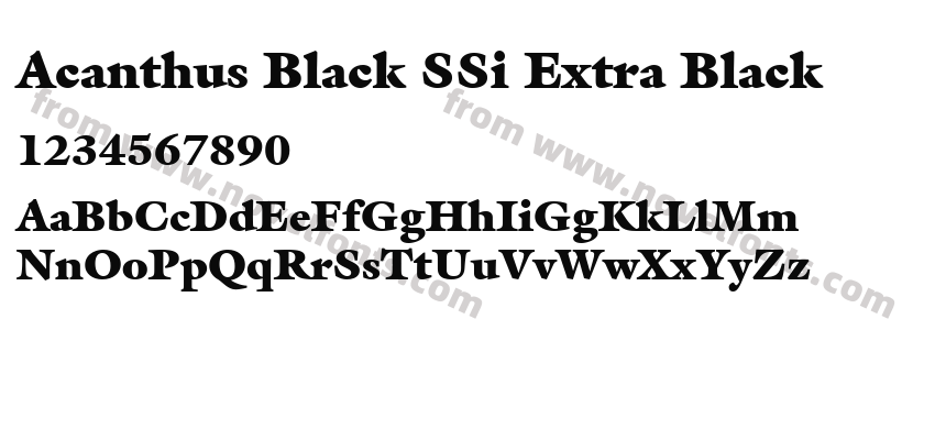 Acanthus Black SSi Extra BlackPreview