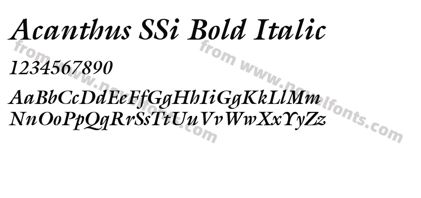 Acanthus SSi Bold ItalicPreview