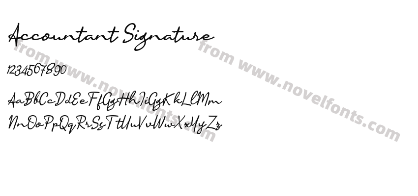 Accountant SignaturePreview