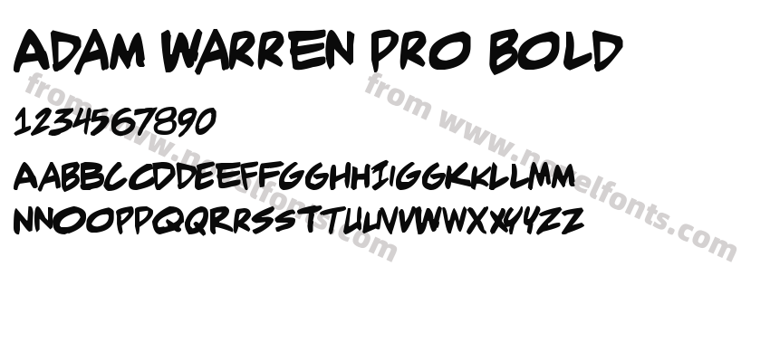 Adam Warren pro BoldPreview