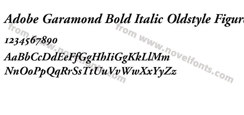 Adobe Garamond Bold Italic Oldstyle FiguresPreview