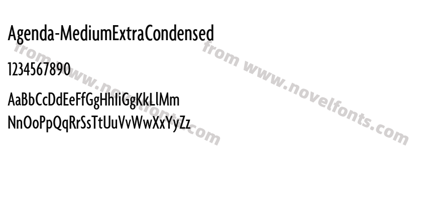 Agenda-MediumExtraCondensedPreview