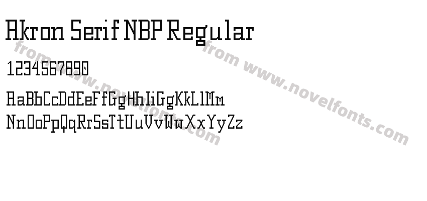 Akron Serif NBP RegularPreview