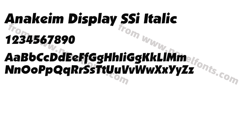 Anakeim Display SSi ItalicPreview