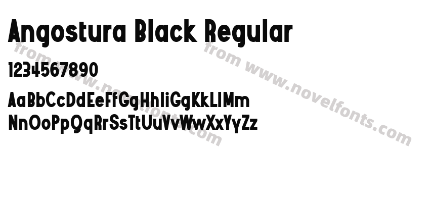 Angostura Black RegularPreview