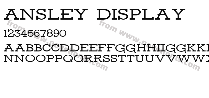 Ansley DisplayPreview