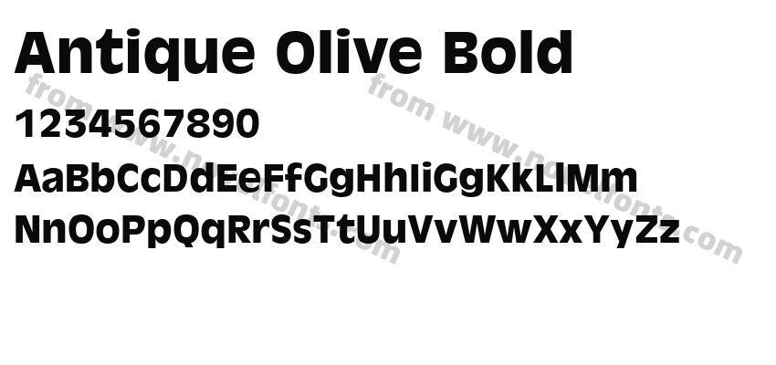 Antique Olive BoldPreview