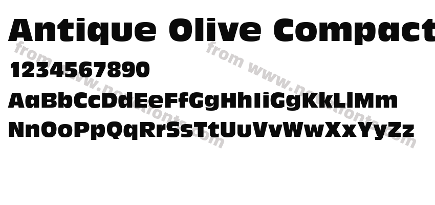 Antique Olive CompactPreview