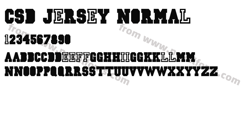 CSD-JERSEY-NormalPreview