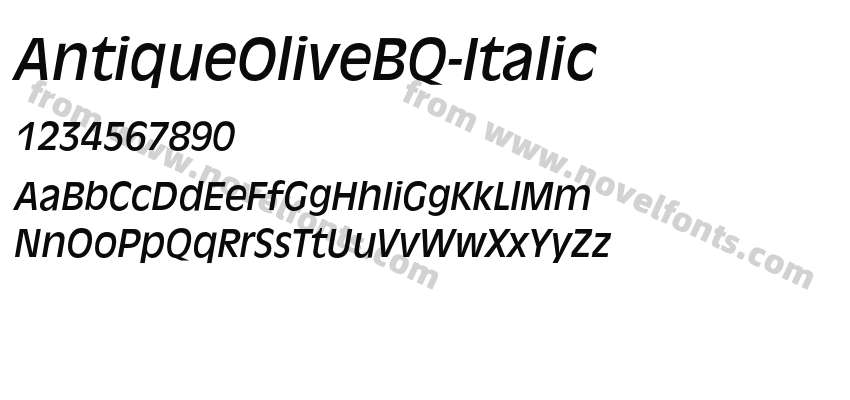 AntiqueOliveBQ-ItalicPreview