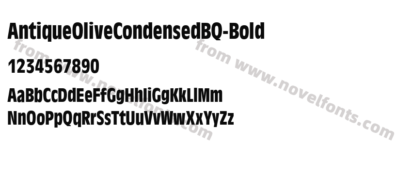 AntiqueOliveCondensedBQ-BoldPreview