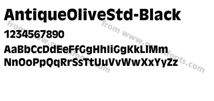 AntiqueOliveStd-BlackPreview